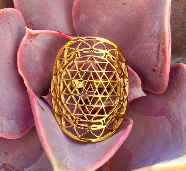 A ring with Shri Yantra symbolism👀 How does it work?